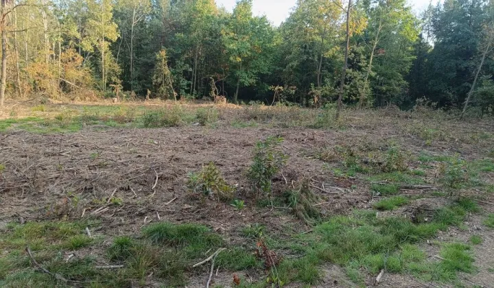 Działka budowlana Żdżary