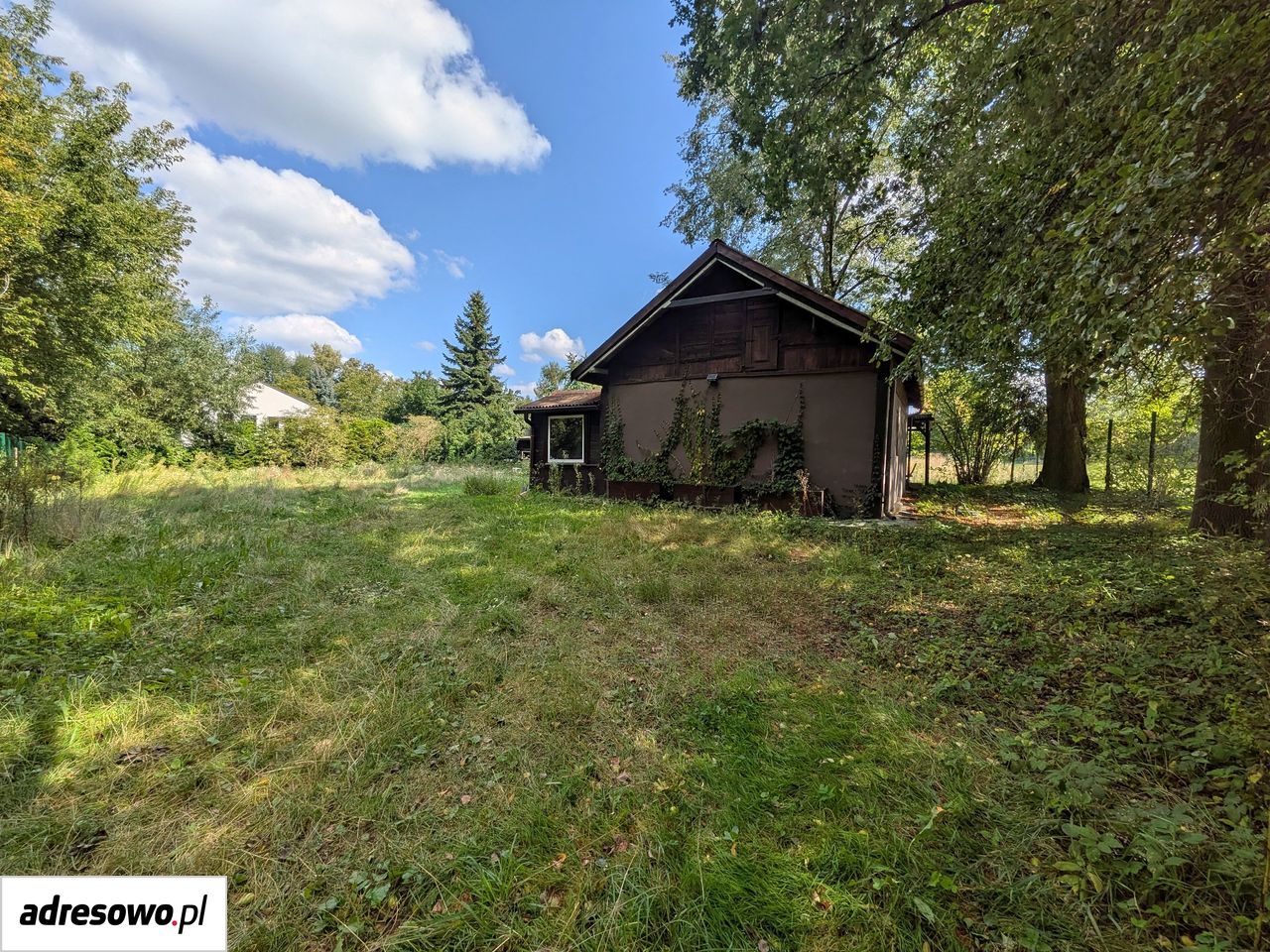 Działka siedliskowa Wilków nad Wisłą. Zdjęcie 10