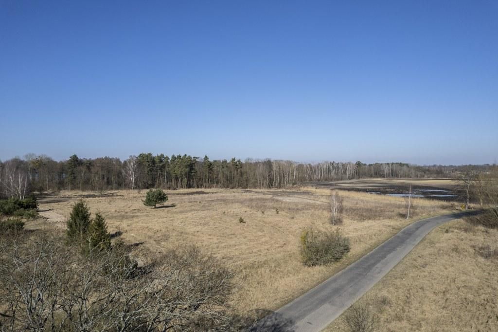 Działka inwestycyjna Dąbrowa. Zdjęcie 4