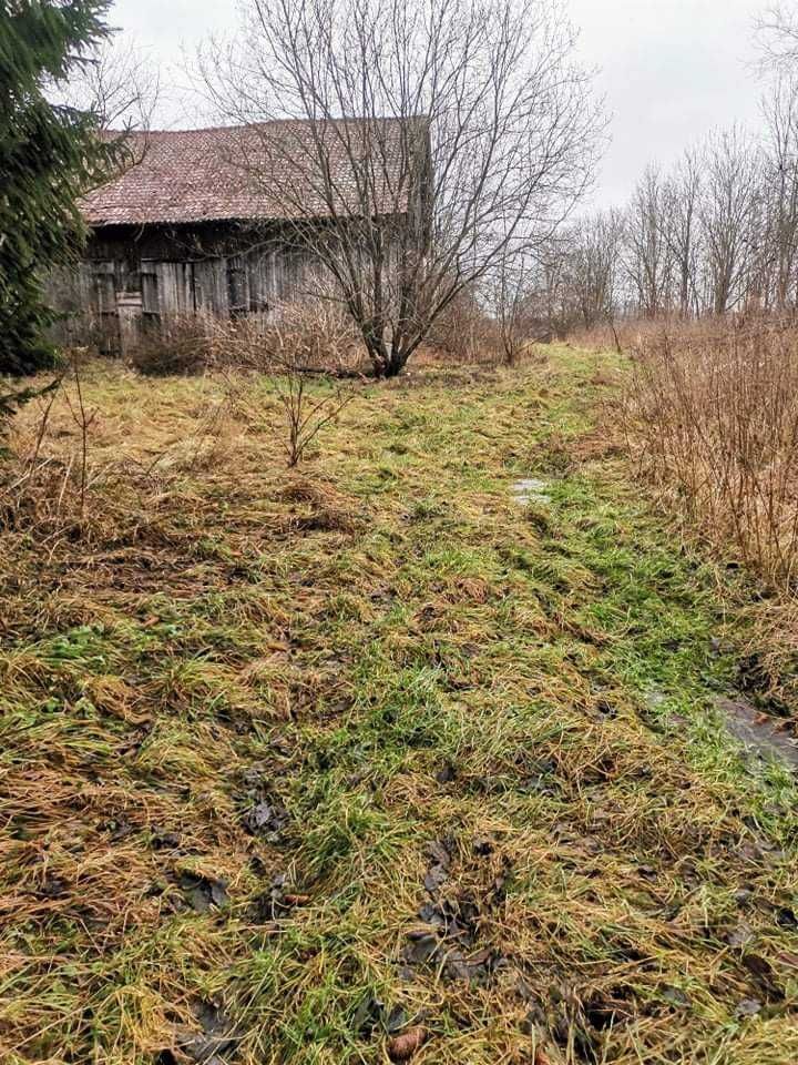 Działka budowlana Łępno. Zdjęcie 3