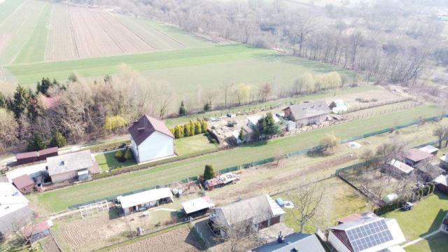 Działka rolno-budowlana Damienice. Zdjęcie 12