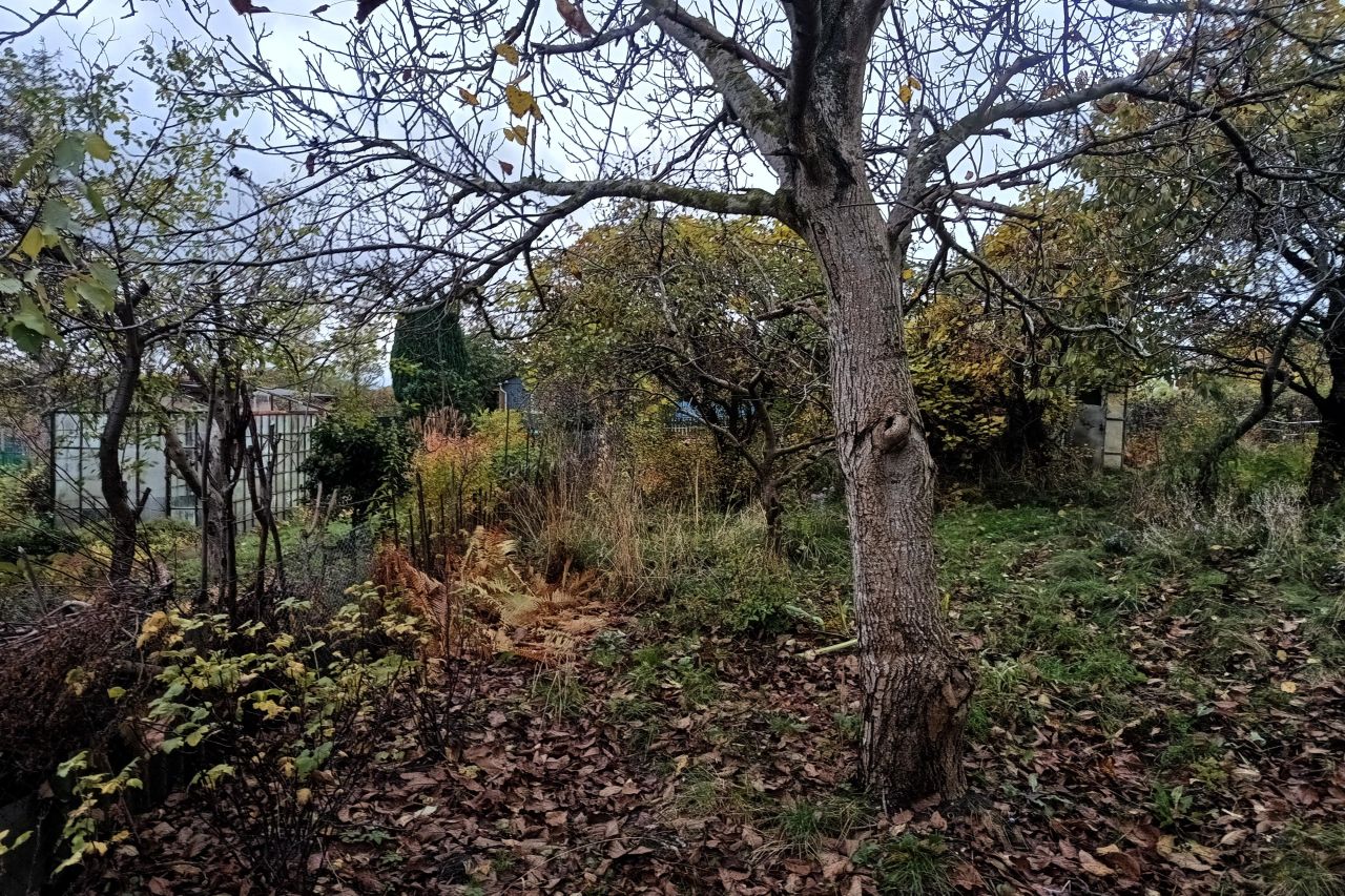 Działka rod Gdańsk Jasień, ul. mjr. Mieczysława Słabego. Zdjęcie 5