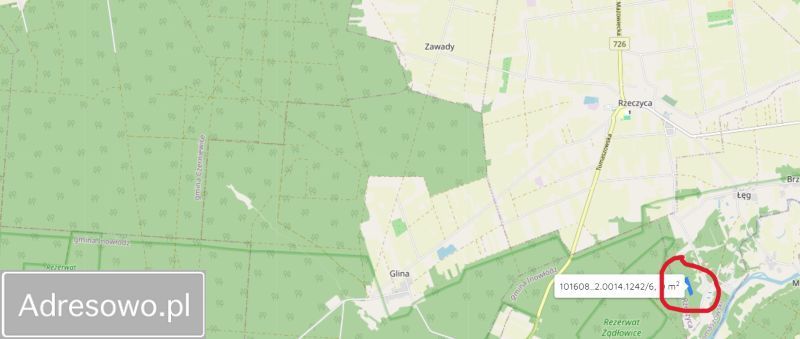 Działka leśna Łęg. Zdjęcie 12