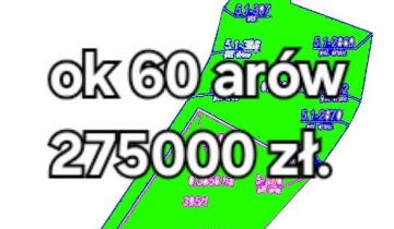 Działka budowlana Przytyki