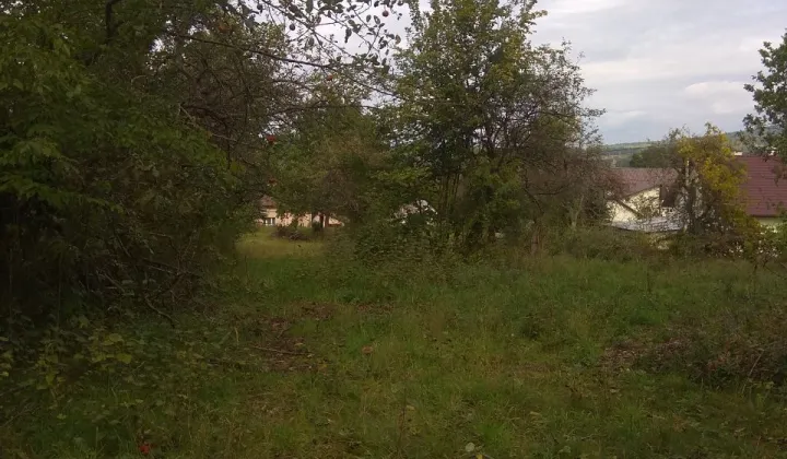 Nieruchomość komercyjna Lipinki