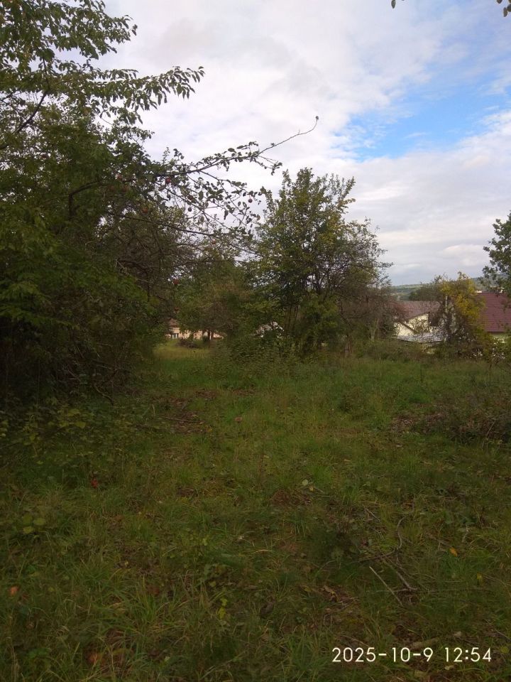 Nieruchomość komercyjna Lipinki