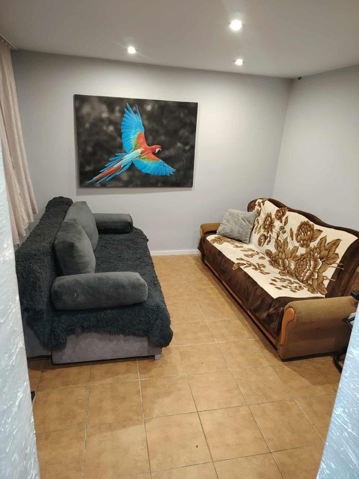 Działka rod Łódź Widzew, ul. Olkuska. Zdjęcie 6