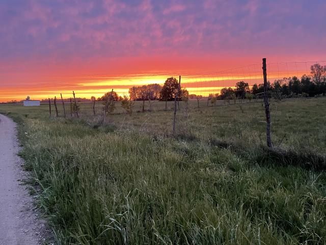 Działka siedliskowa Mogowo. Zdjęcie 2