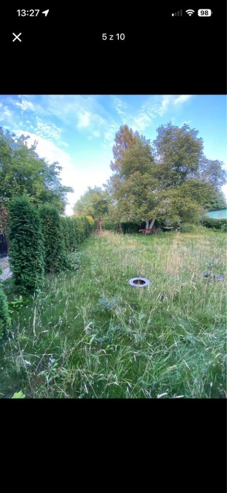 Działka rod Czeladź, ul. Stefana Żeromskiego. Zdjęcie 3