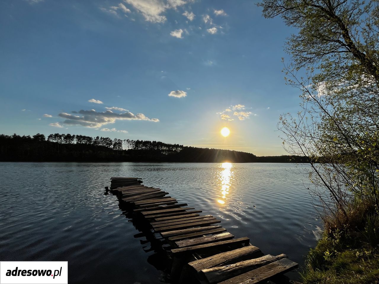 Działka rolno-budowlana Grotów. Zdjęcie 15