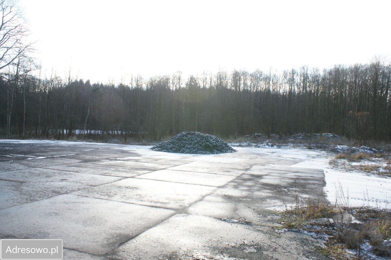 Działka inwestycyjna Rynarcice. Zdjęcie 3