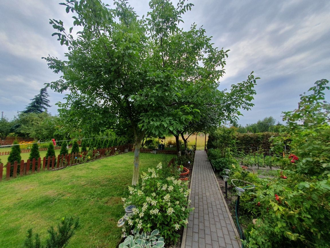 Działka rod Inowrocław. Zdjęcie 6