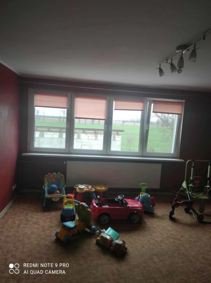 bliźniak Świerkówki. Zdjęcie 6