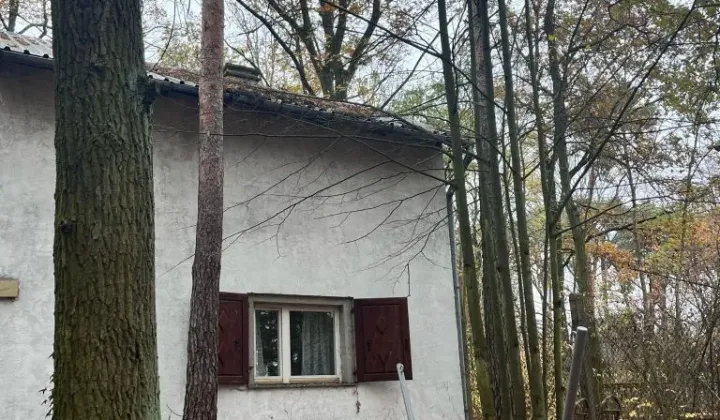 dom letniskowy Wygoda Smoszewska