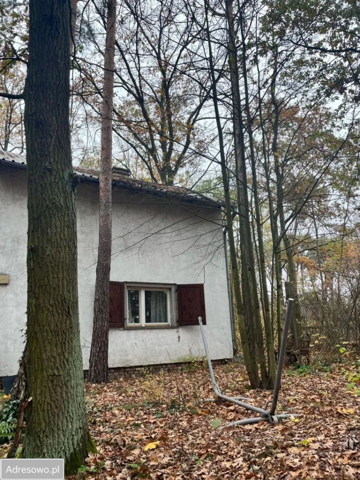 dom letniskowy Wygoda Smoszewska. Zdjęcie 1