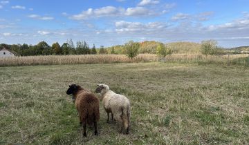 Działka budowlana Grodziec Siedlacze, Solarska