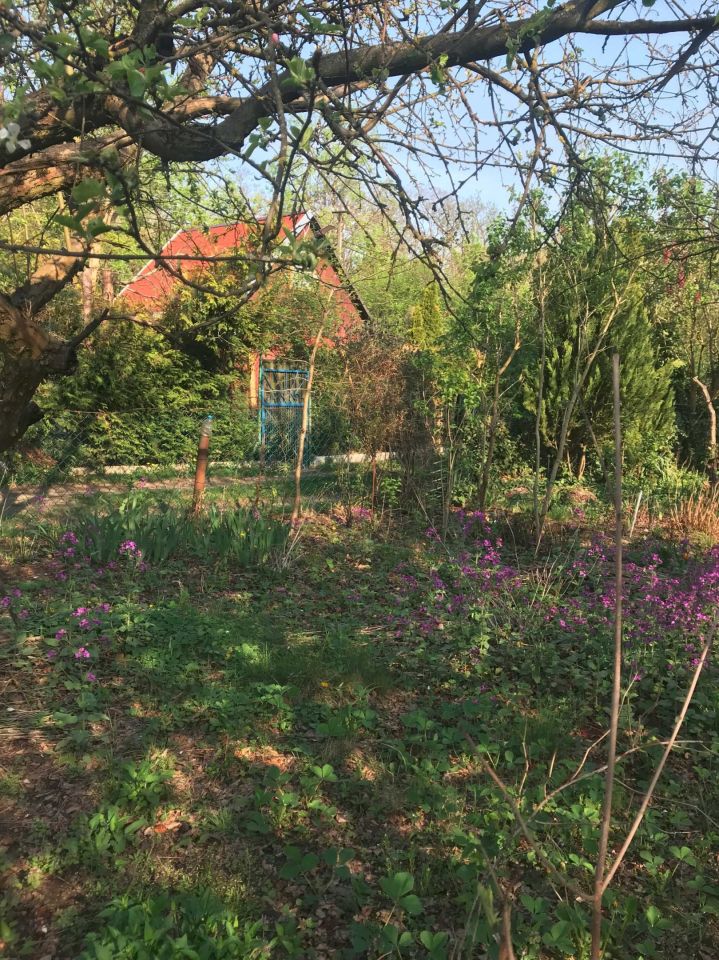 Działka rod Warszawa Włochy. Zdjęcie 2