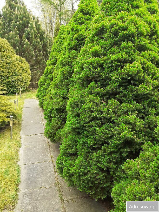 Działka rod Kraków Golikówka. Zdjęcie 9