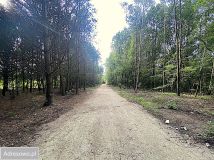 Działka budowlana Tuszyn Tuszynek Poduchowny, ul. Poddębina. Zdjęcie 2