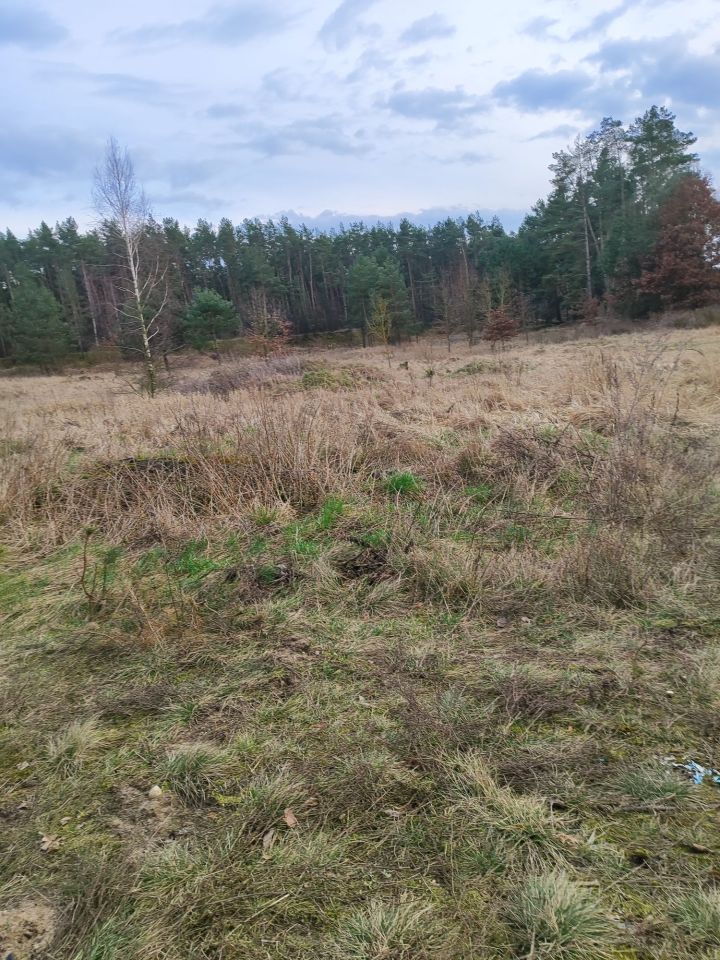 Działka budowlana Wielkie Pułkowo. Zdjęcie 2