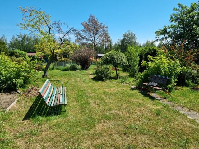 Działka rod Kutno, ul. Grunwaldzka. Zdjęcie 1