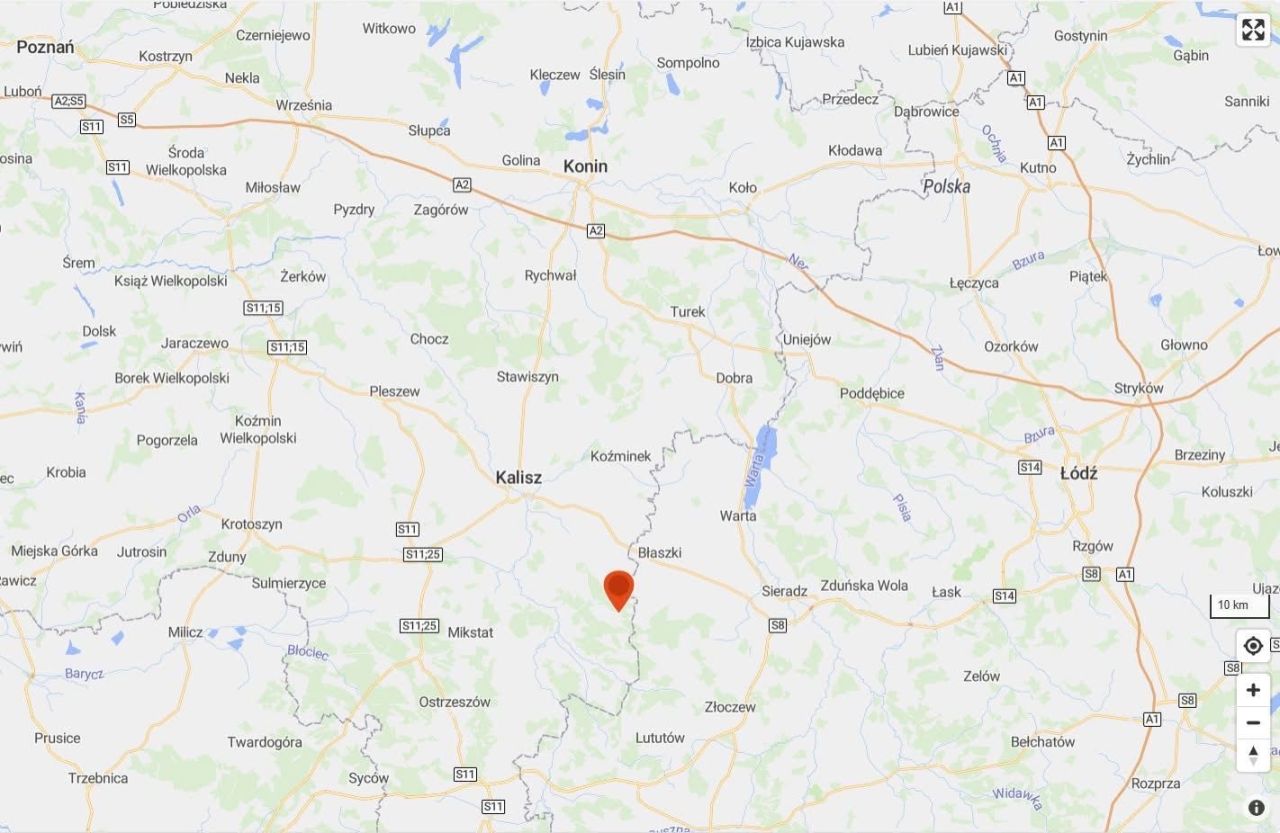 Działka leśna Włocin-Kolonia. Zdjęcie 5