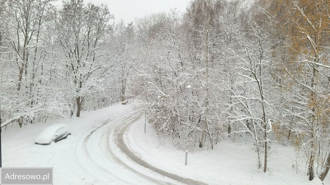 Mieszkanie 3-pokojowe Świętochłowice, ul. Uroczysko. Zdjęcie 4