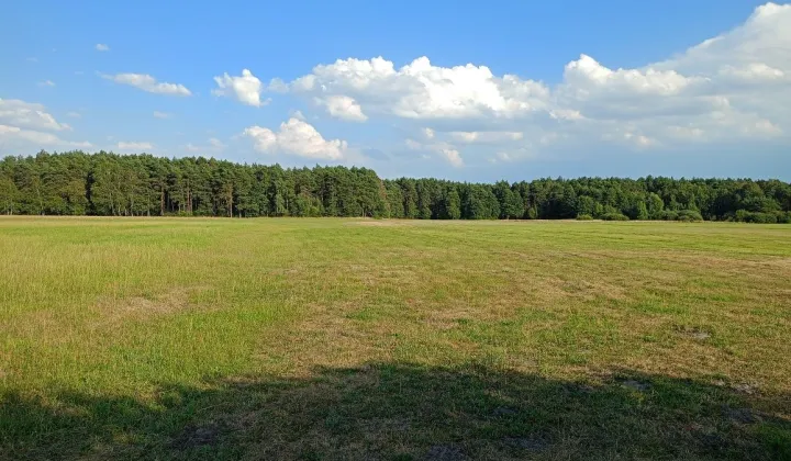 Działka rolna Radoszewice