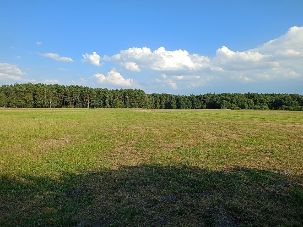 Działka rolna Radoszewice. Zdjęcie 1