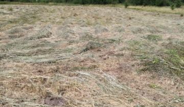 Działka budowlana Kuźnica Stara Kuźnica-Folwark