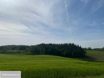 Działka budowlana Częstocin. Zdjęcie 2