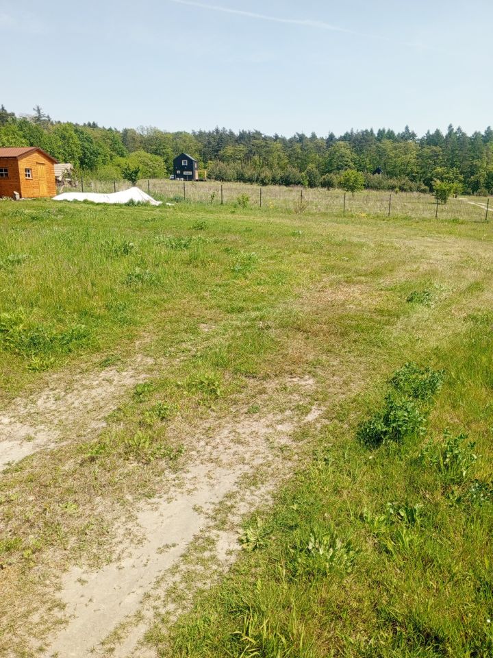 Działka budowlana Niedary. Zdjęcie 17