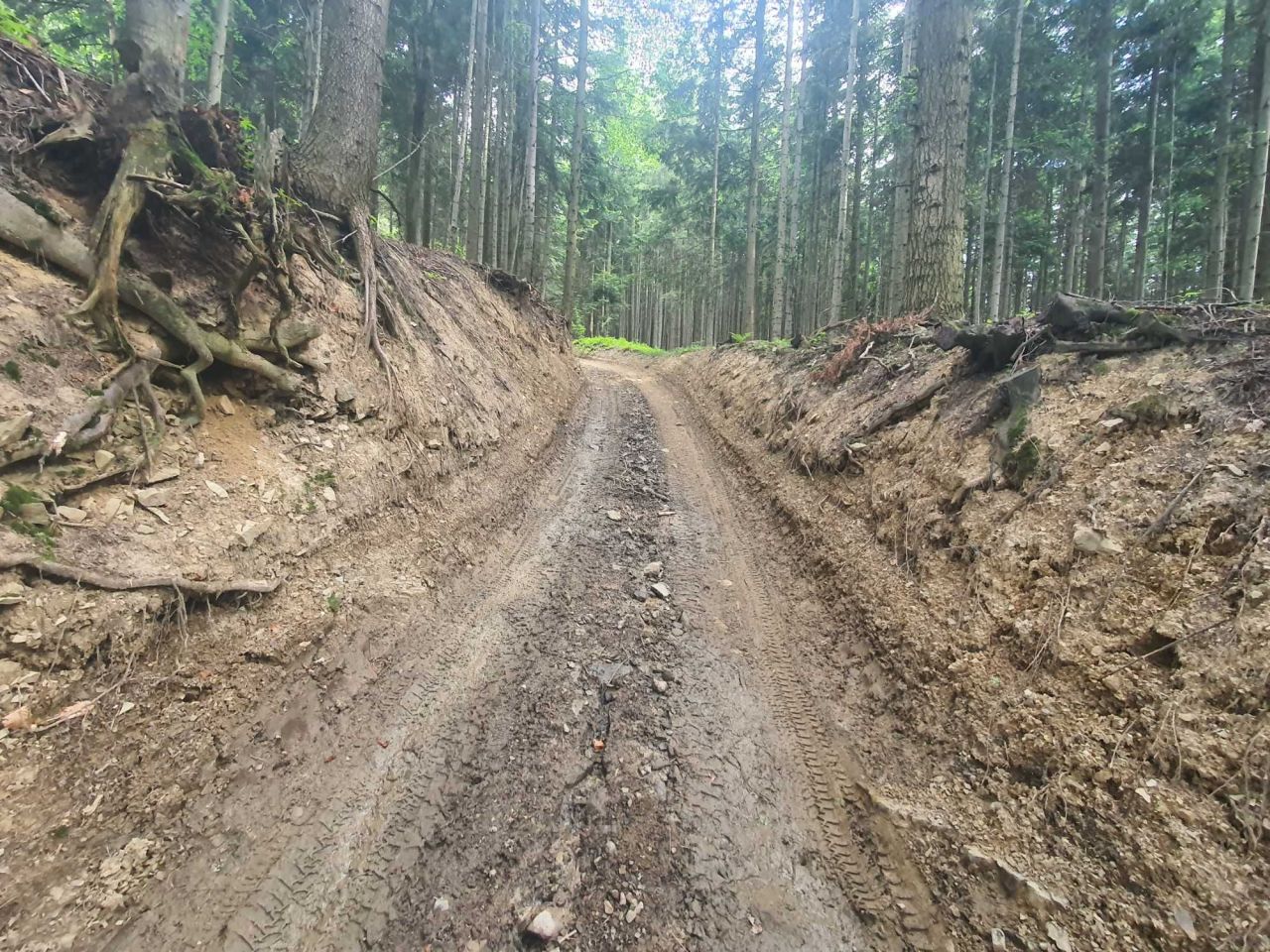 Działka rolno-budowlana Zawoja Mosorne. Zdjęcie 8