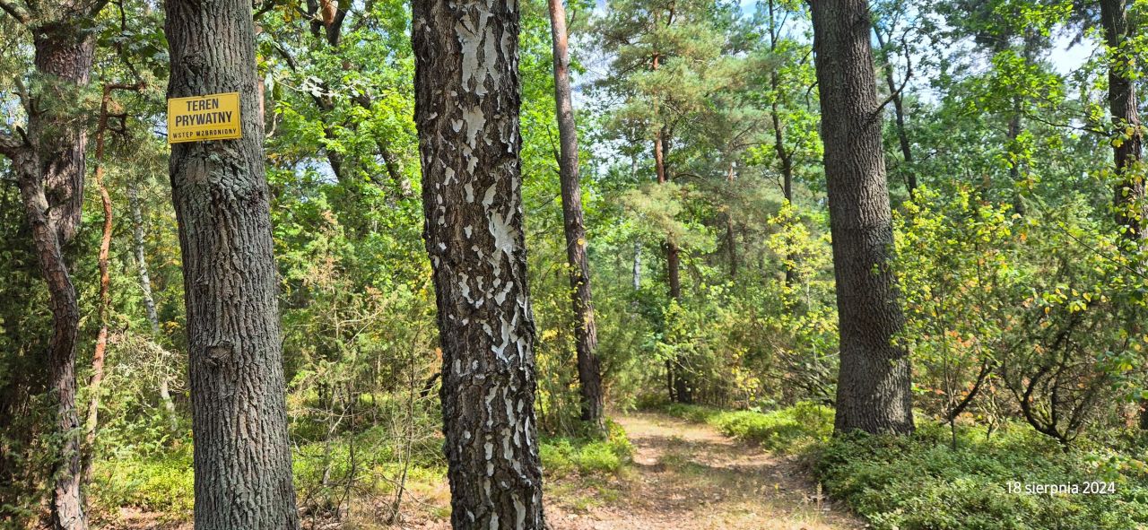 Działka rekreacyjna Płatkownica. Zdjęcie 4
