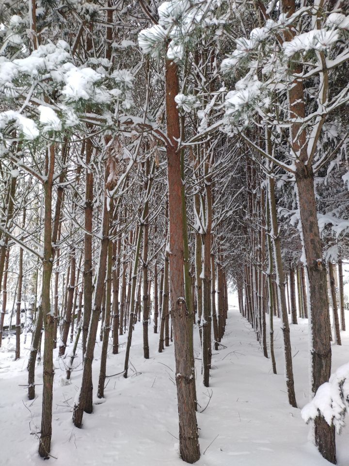 dom wolnostojący, 5 pokoi Barycz Stara. Zdjęcie 11