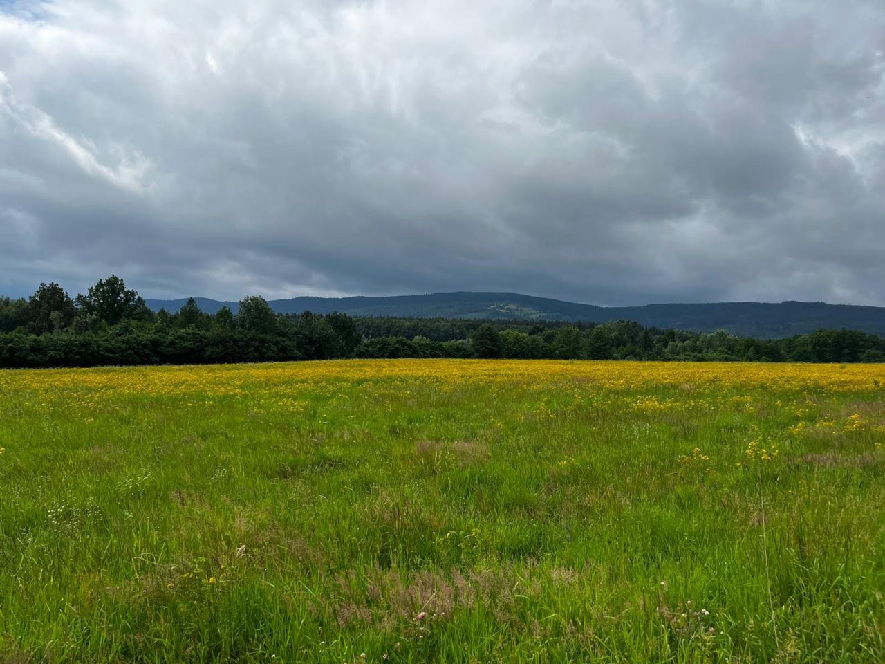 Działka budowlana Starków. Zdjęcie 2