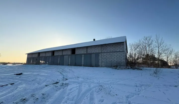 Nieruchomość komercyjna Pustki