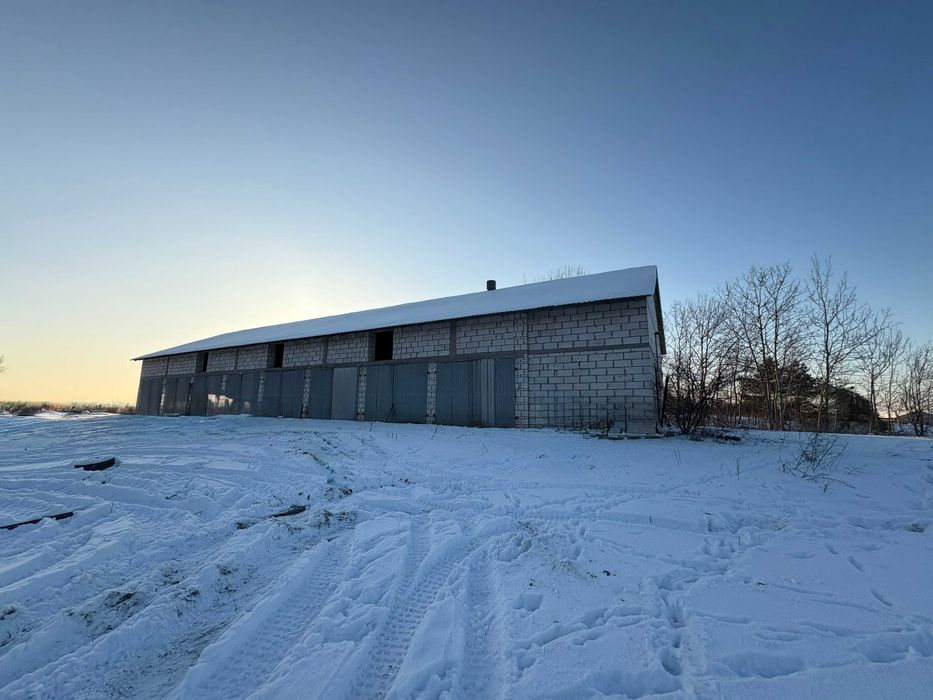 Nieruchomość komercyjna Pustki