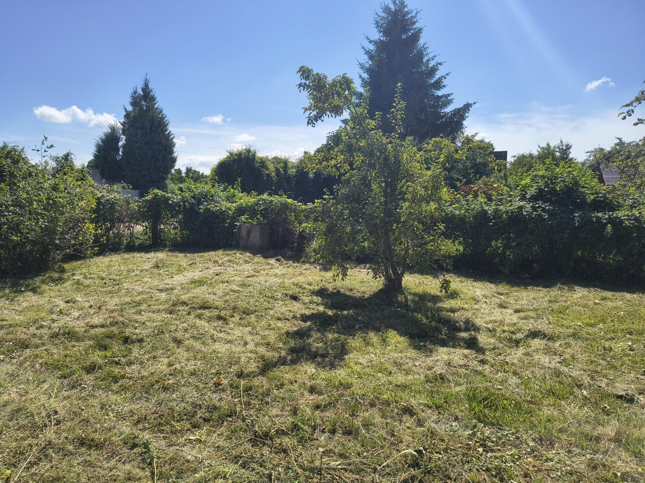 Działka rod Giżycko, ul. Rajska. Zdjęcie 6