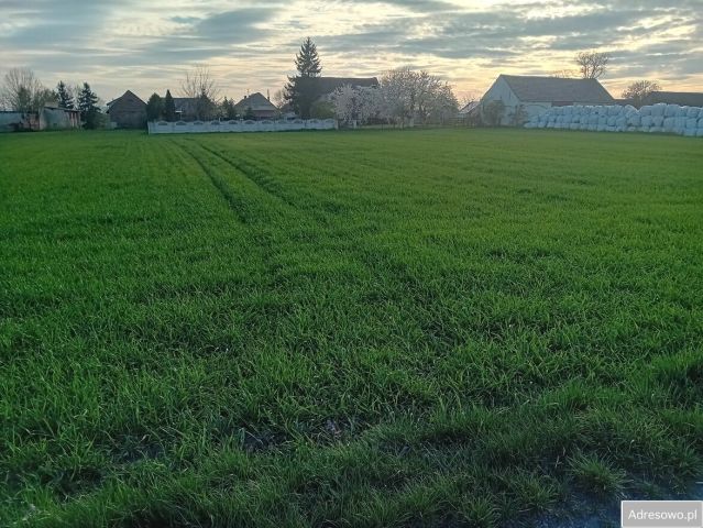 Działka rolno-budowlana Mokra. Zdjęcie 1