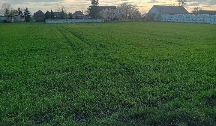 Działka rolno-budowlana Mokra