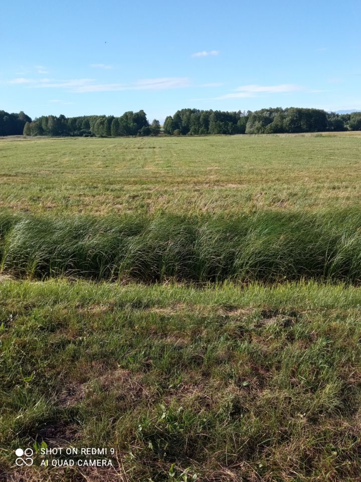 Działka rolna Olszowa. Zdjęcie 3