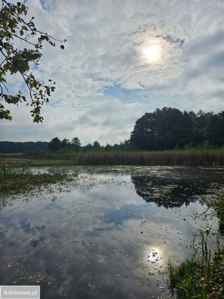 Działka budowlana Pogorzelec. Zdjęcie 3