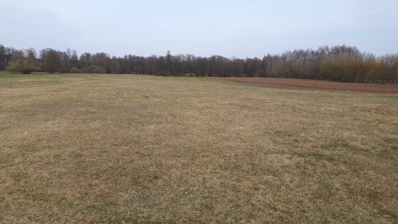 Działka rolna Królewo. Zdjęcie 5