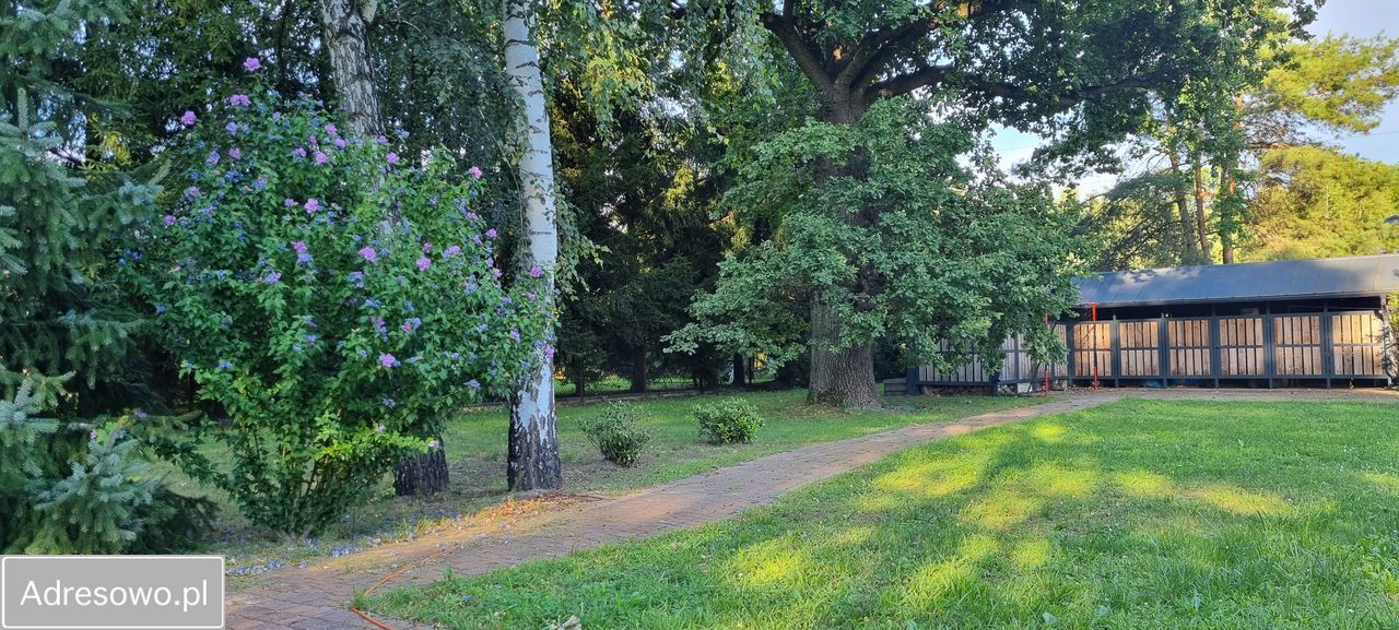 Działka budowlana Jachranka. Zdjęcie 2