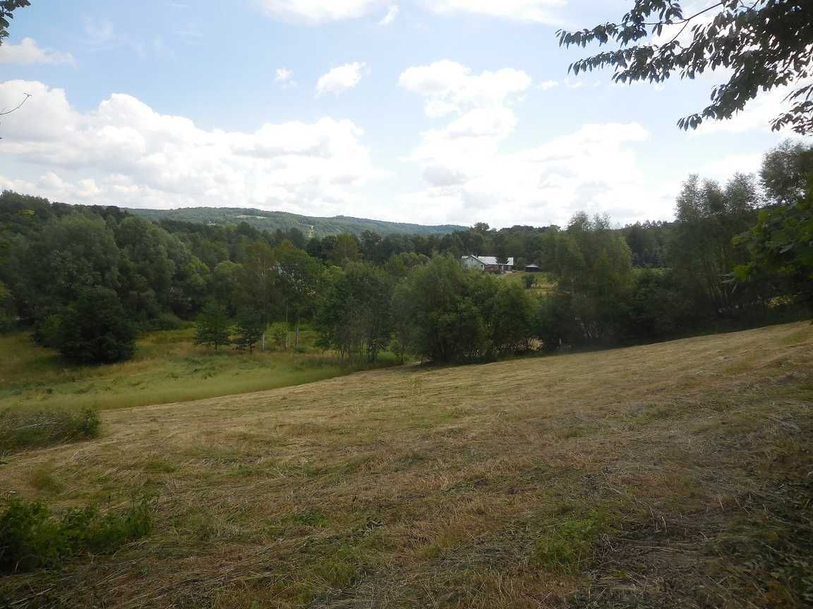 Działka Błędowa Tyczyńska. Zdjęcie 3