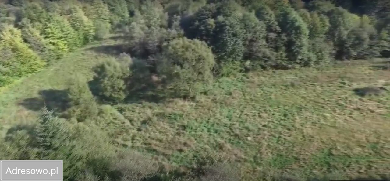 Działka inwestycyjna Baligród. Zdjęcie 6