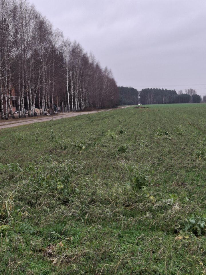 Działka budowlana Wrzeczko Borowiny. Zdjęcie 2