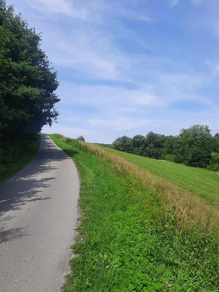 Działka rolno-budowlana Jastrzębia. Zdjęcie 4