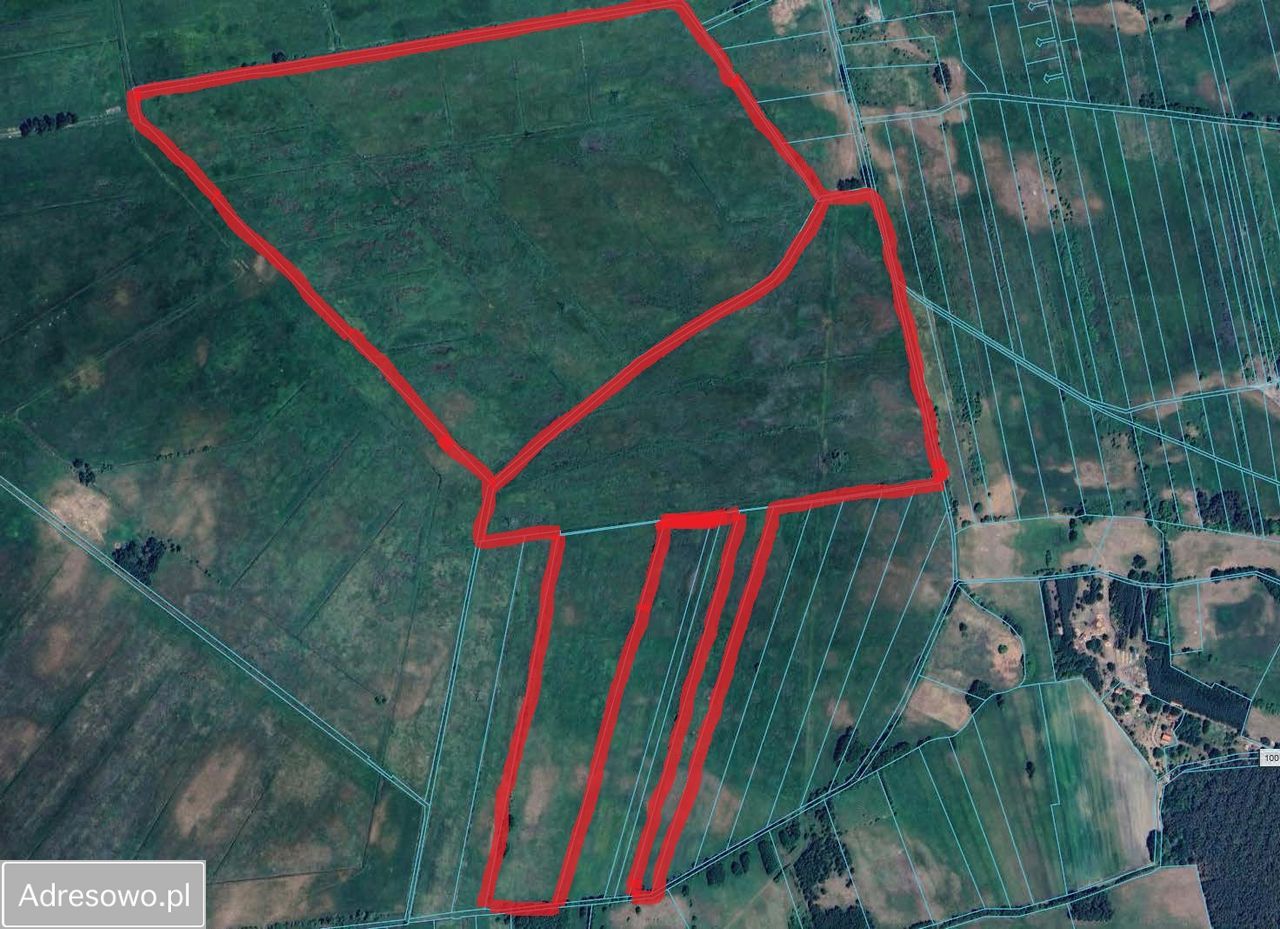 Działka rolna Racimierz. Zdjęcie 3